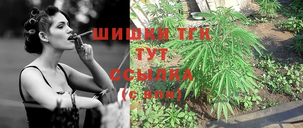 амф Богданович
