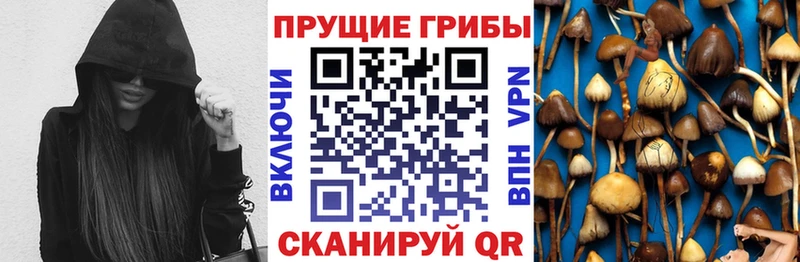 Псилоцибиновые грибы ЛСД  Великие Луки 